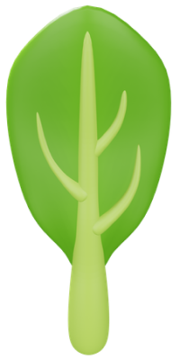 spinach-leaf
