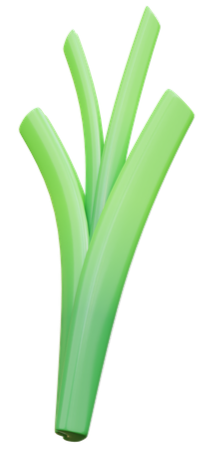 spting-onion